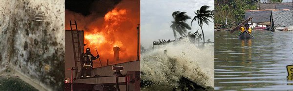 Florida disaster repair services